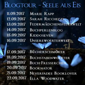 Blogtourbanner - Seele_aus_Eis_Übersicht 1-1